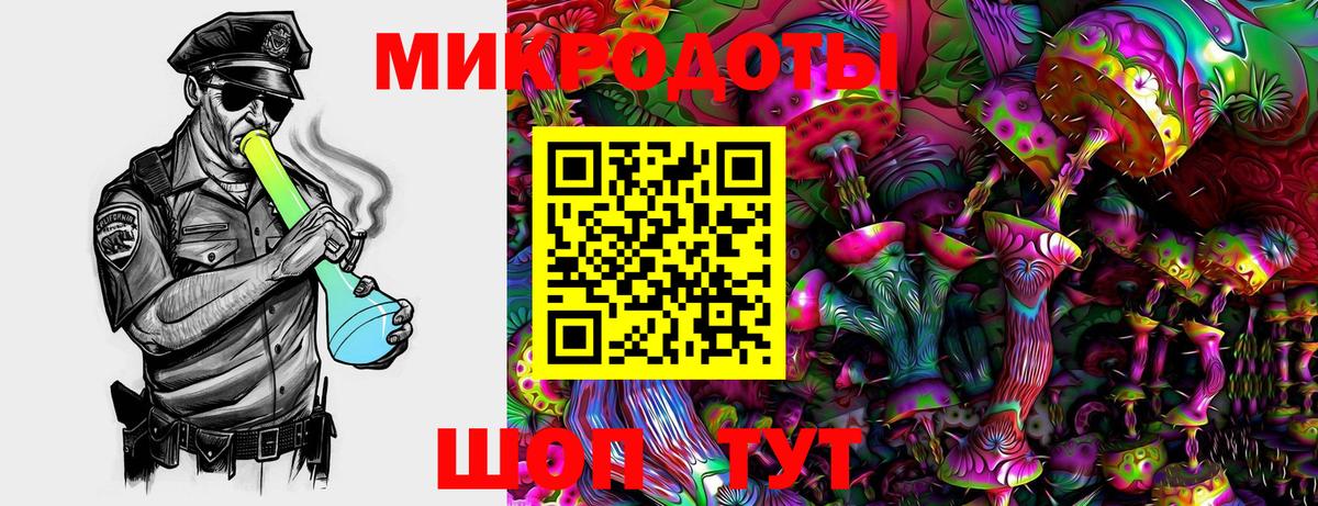Галлюциногенные грибы Psilocybe Луховицы