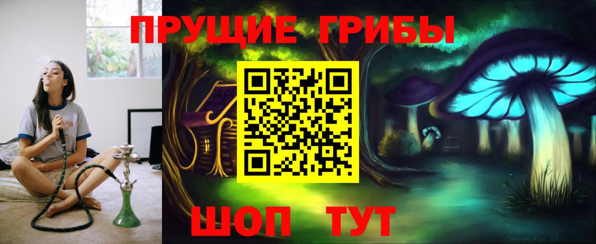 Луховицы  Псилоцибиновые грибы мухоморы  Вход с VPN 